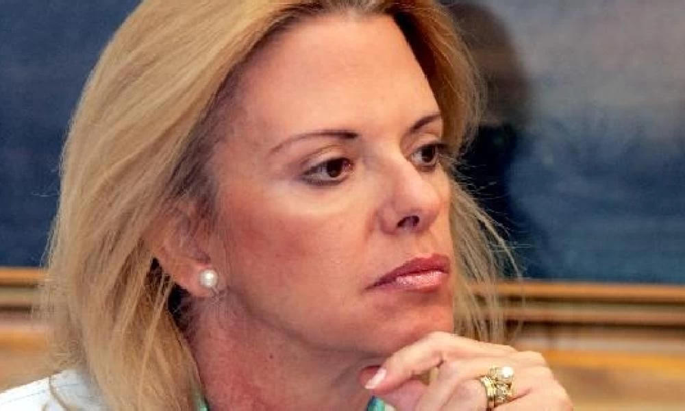Κατεπείγουσα ερώτηση Βόζεμπεργκ για τις νέες προκλητικές δηλώσεις Τσαβούσογλου
